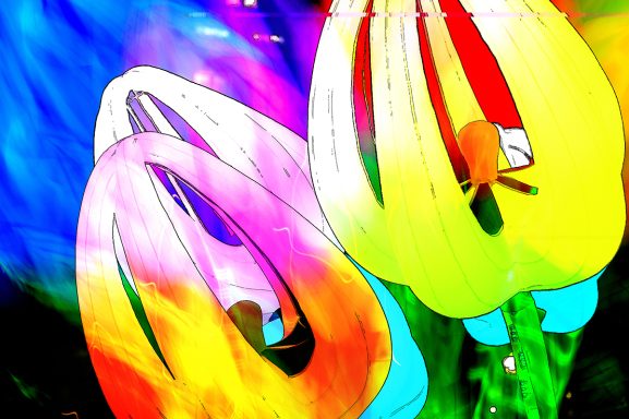 Neonflora