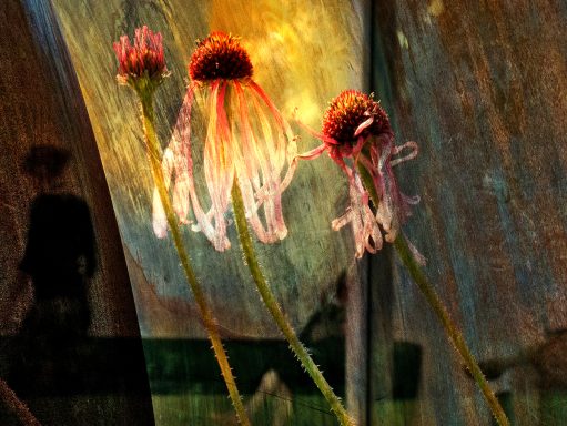 Rust flower
